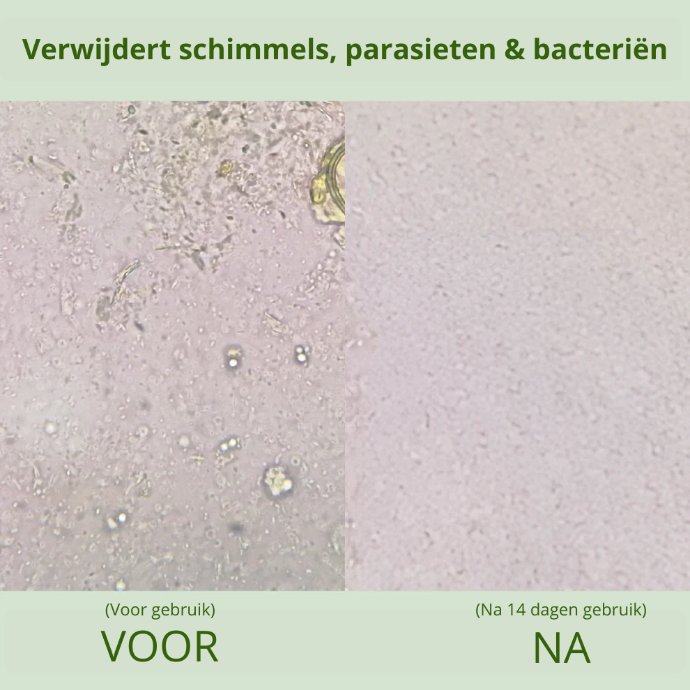 Oregamix - De Natuurlijke Detox die Werkt