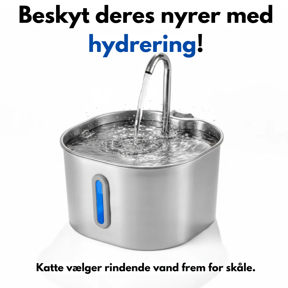 Forlæng din kats liv med Purrflows tredobbelte filtreringssystem