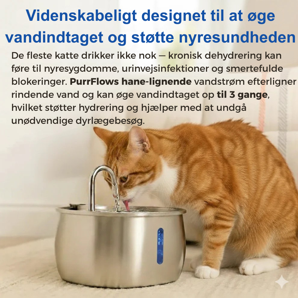 Forlæng din kats liv med Purrflows tredobbelte filtreringssystem