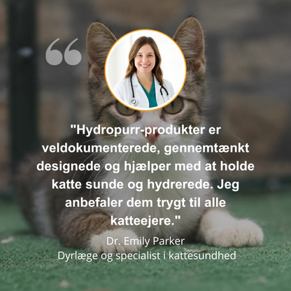 Forlæng din kats liv med Purrflows tredobbelte filtreringssystem