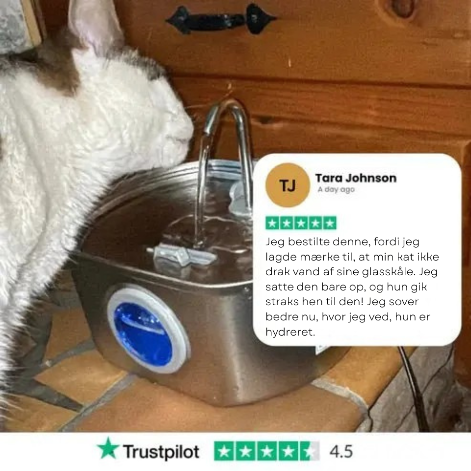 Forlæng din kats liv med Purrflows tredobbelte filtreringssystem